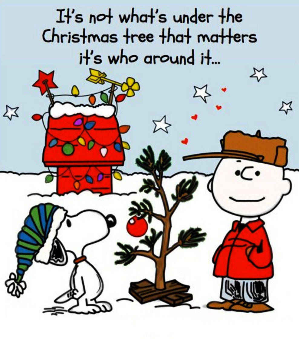 Merry Christmas Charlie Brown Quotes
 Merry Christmas Snoopy and the Gang 3