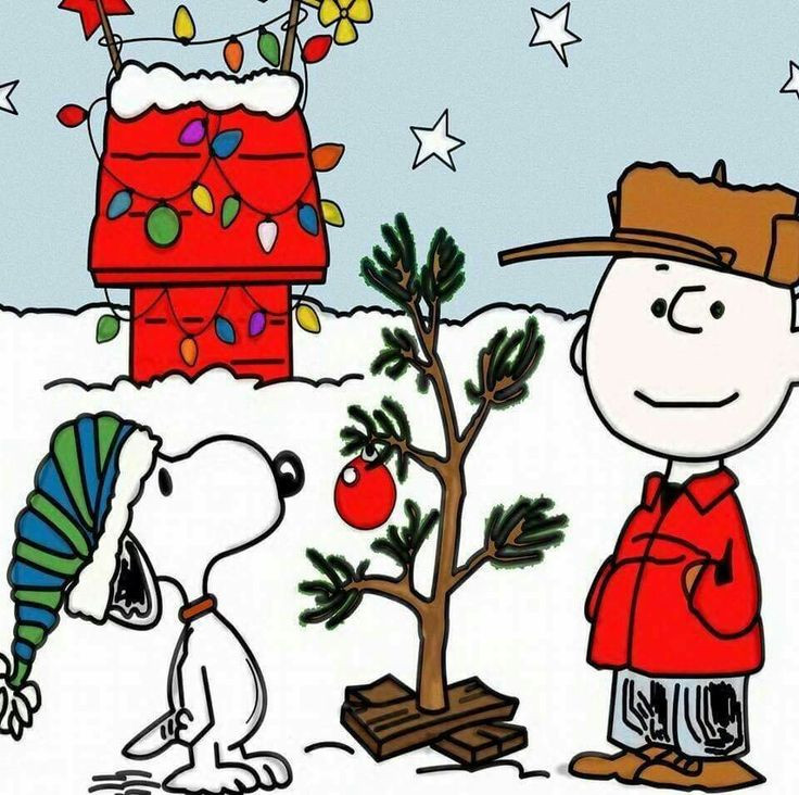 Merry Christmas Charlie Brown Quotes
 Best 25 Charlie brown christmas quotes ideas on Pinterest