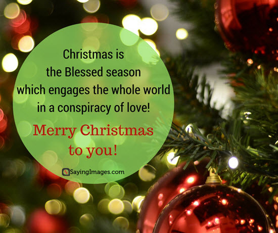 Merry Christmas Quote
 Best Christmas Cards Messages Quotes Wishes