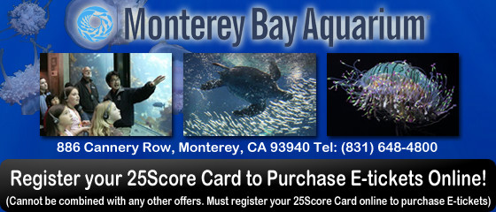 Monterey Bay Aquarium Christmas Hours
 25Score Discount Card Save Big With 25Score