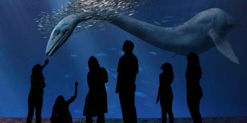 Monterey Bay Aquarium Christmas Hours
 Monterey Bay Aquarium — Did you a chance to see the