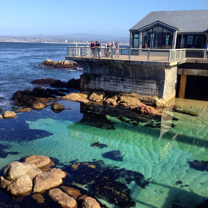 Monterey Bay Aquarium Thanksgiving
 100 best images about Bucket List on Pinterest
