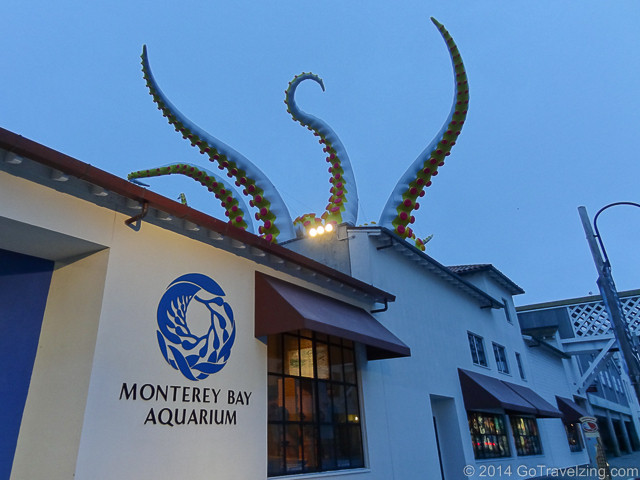 Monterey Bay Aquarium Thanksgiving
 monterey bay aquarium