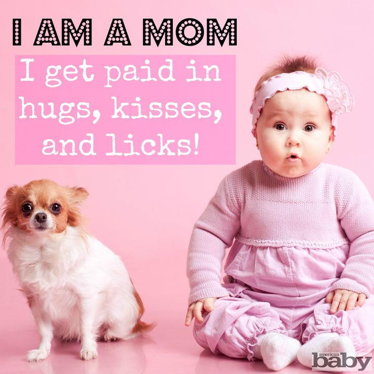 Mother And Baby Quotes
 17 Best ideas about Single Mom Meme on Pinterest