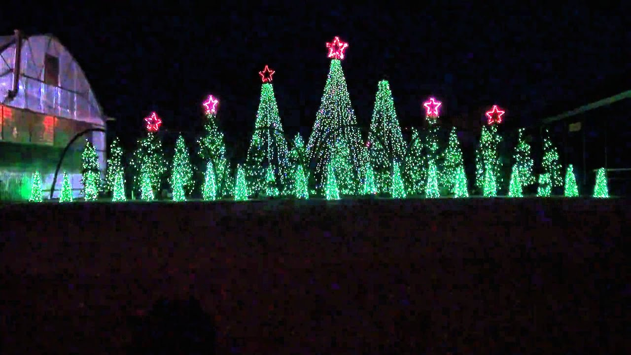 Musical Christmas Lighting
 Jingle Bells Techno Synchronized Christmas Light Show to