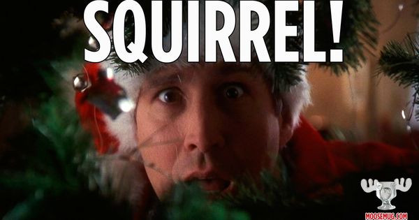 National Lampoon'S Christmas Vacation Quotes
 Squirrel Christmas Vacation quote classic movie