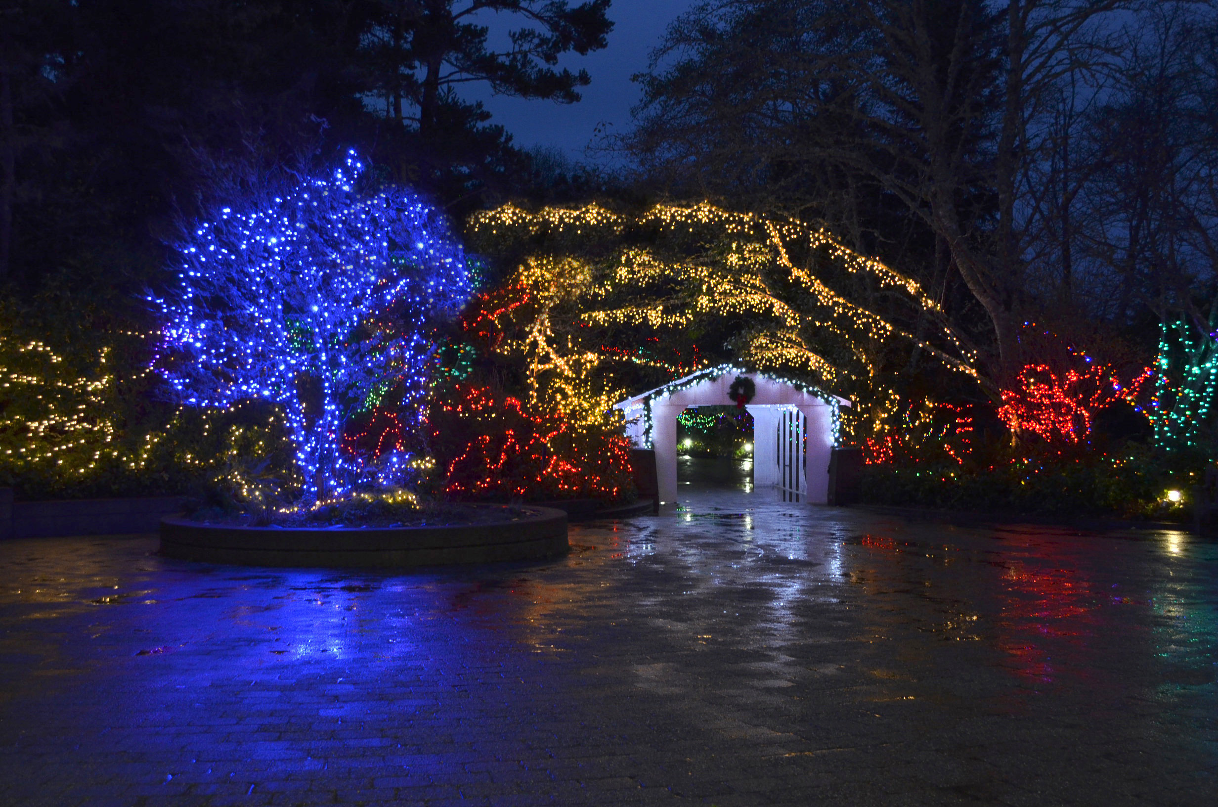 Newport Aquarium Christmas Lights
 Aquarium to Sparkle with an Ocean of Holiday Cheer