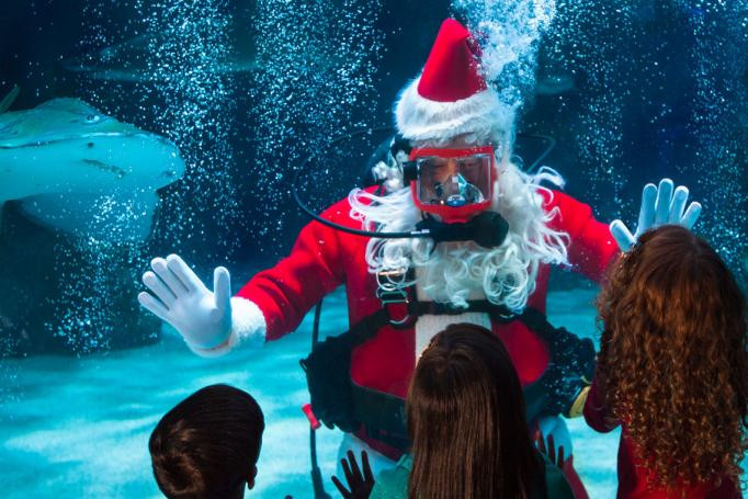 Newport Aquarium Christmas Lights
 Must Do in Cincinnati