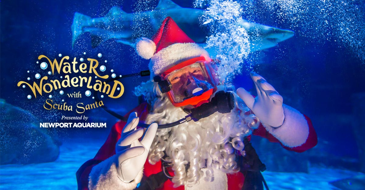 Newport Aquarium Christmas Lights
 Scuba Santa’s Water Wonderland Celebrates 16 Years at