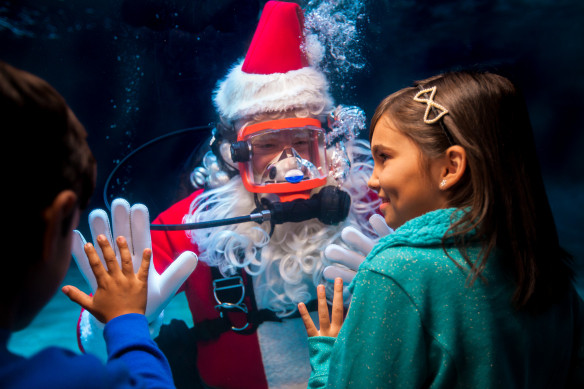 Newport Aquarium Christmas Lights
 Newport Aquarium Announces all new Water Wonderland with