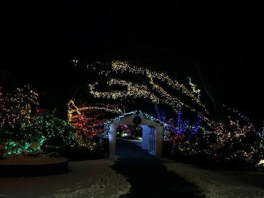 Newport Aquarium Christmas Lights
 Sea of Lights returns to Oregon Coast Aquarium