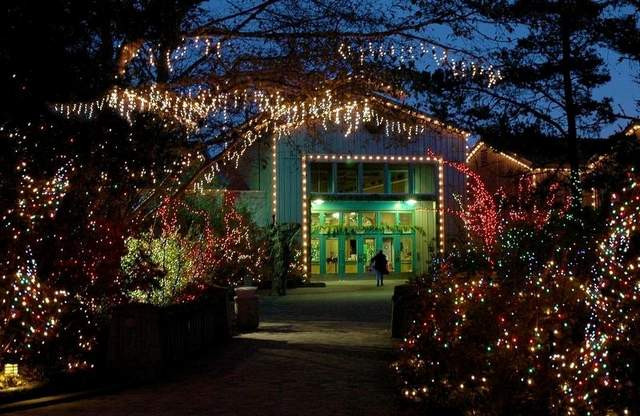 Newport Aquarium Christmas Lights
 ‘Sea of Lights’ to light up Oregon Coast Aquarium Oregon