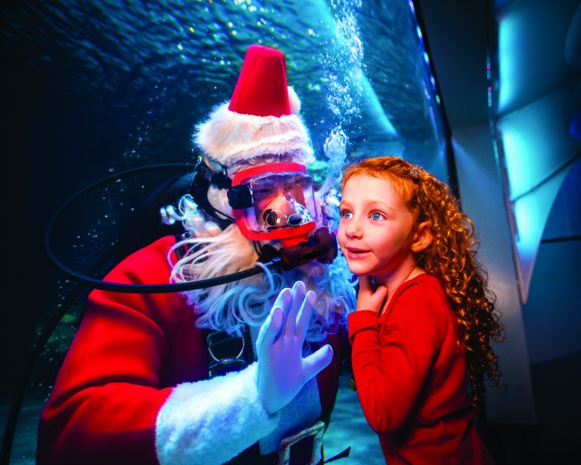 Newport Aquarium Christmas Lights
 Water Wonderland with Scuba Santa at the Newport Aquarium