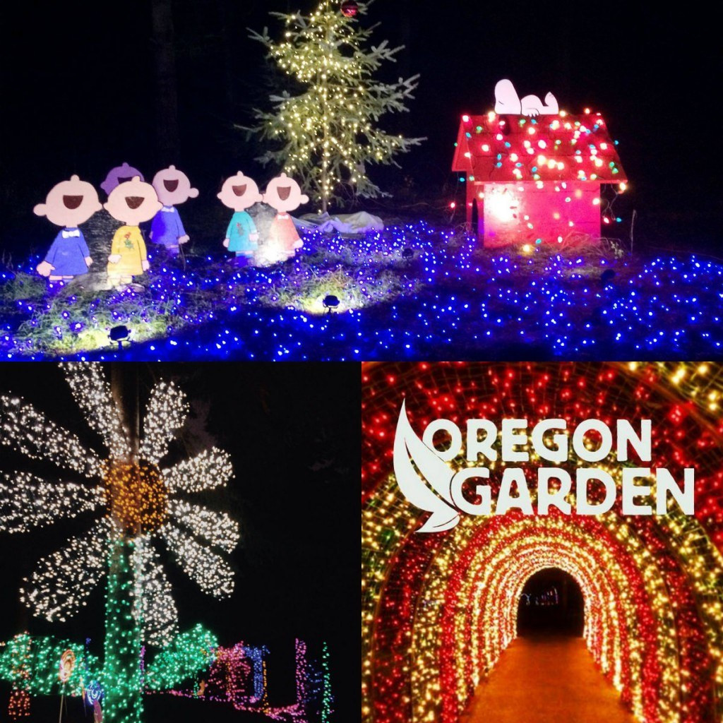 Oregon Garden Christmas
 Social Media Catch up Week 5 November 2015