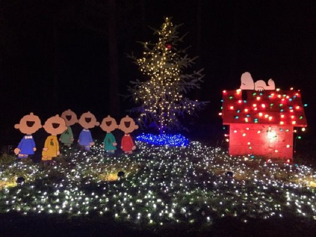 Oregon Garden Christmas
 Oh What Fun It Is To Ride 5 Last Minute Winter Road Trips
