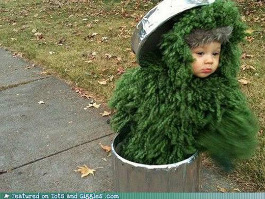Oscar The Grouch Costume DIY
 15 Halloween Costumes for Toddlers that Might be