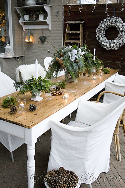 Outdoor Christmas Party Ideas
 Outdoor Christmas Decorations