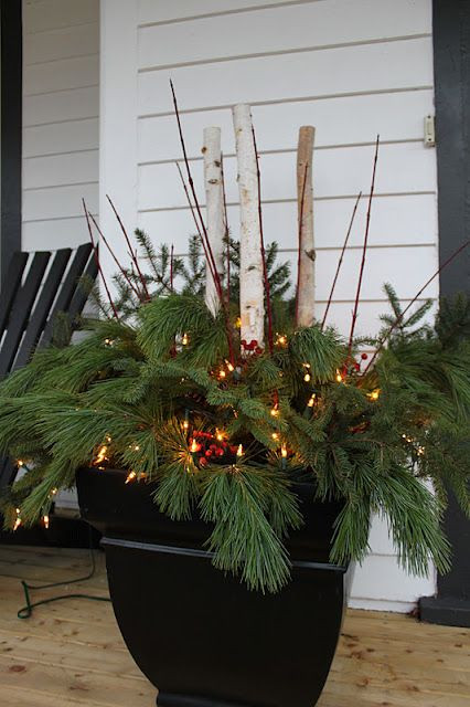 Outdoor Christmas Planters
 Pots with fresh greens and stems for Christmas or just