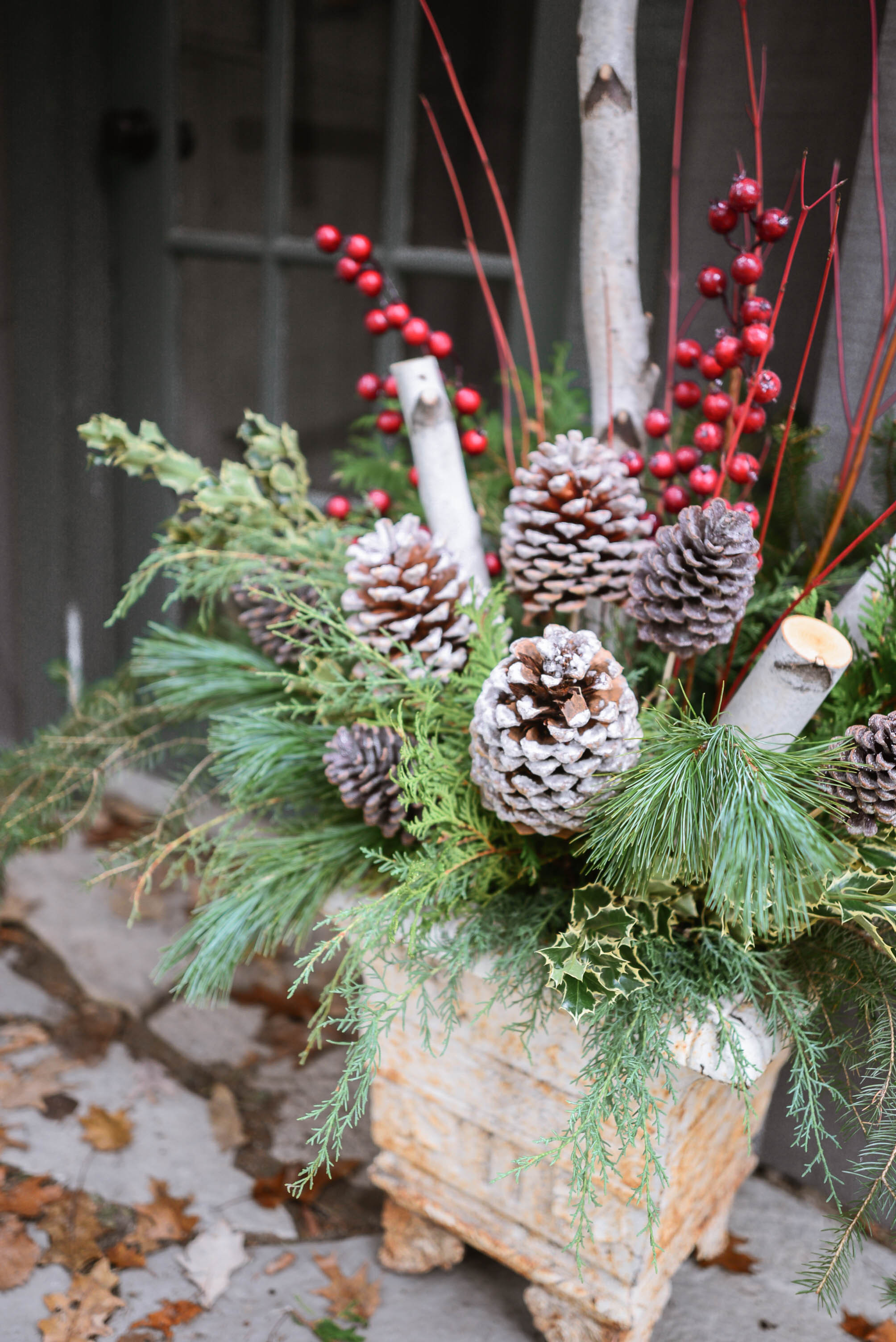 Outdoor Christmas Planters
 How to Make Outdoor Christmas Planters using Evergreen