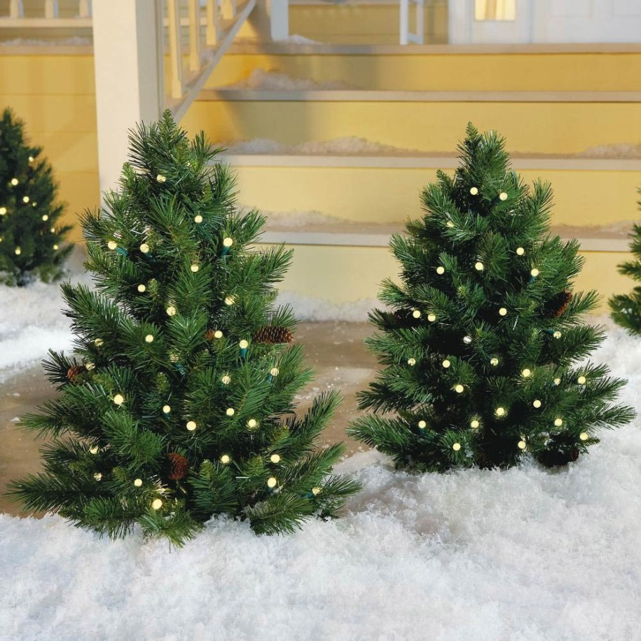 Outdoor Christmas Tree
 FRESH CHRISTMAS DECORATIONS FOR THE NATURE LOVERS