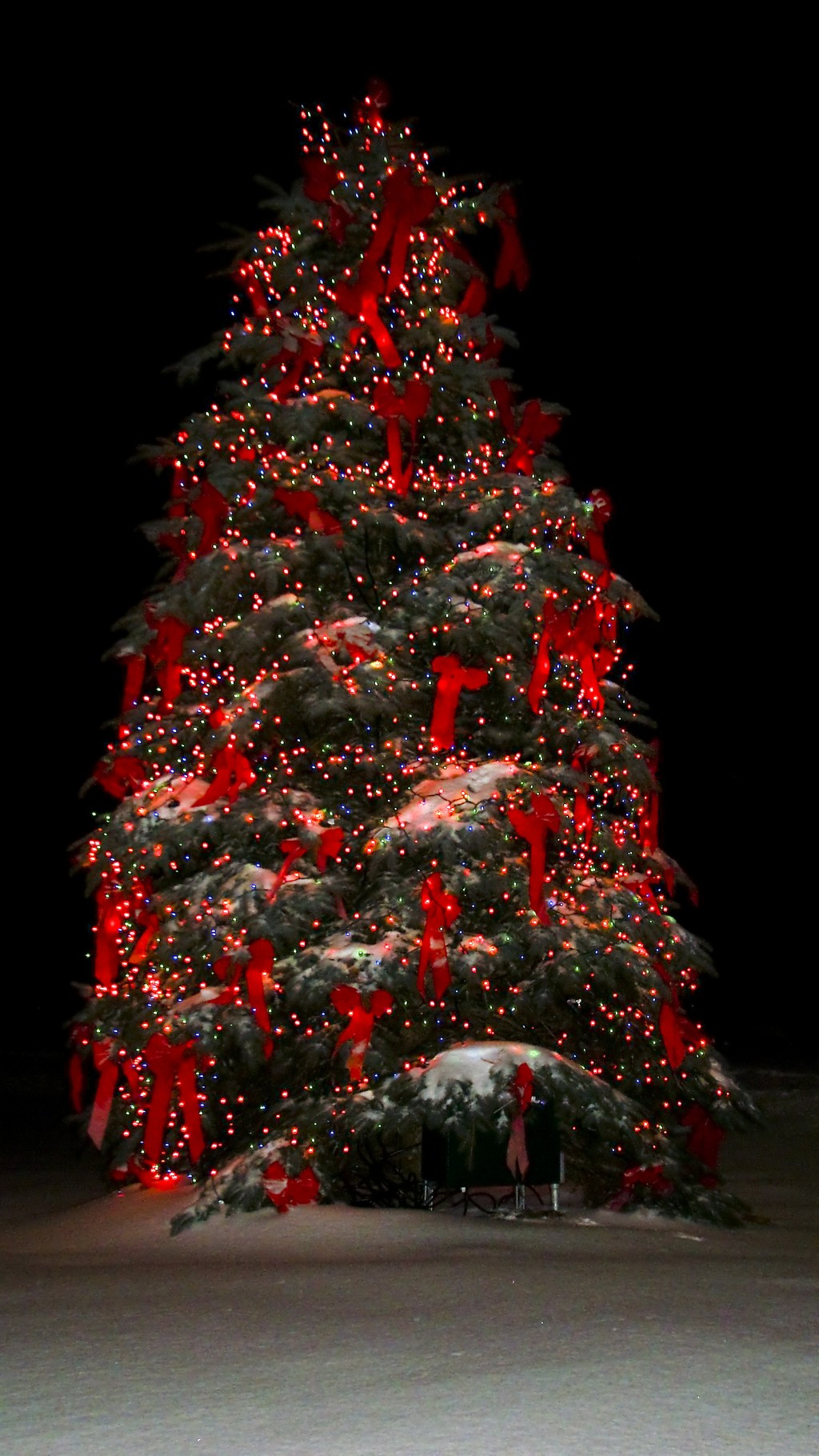 Outdoor Christmas Tree With Lights
 christmas village