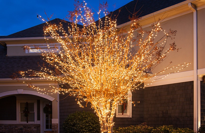 Outdoor Christmas Tree With Lights
 Outdoor Christmas Yard Decorating Ideas