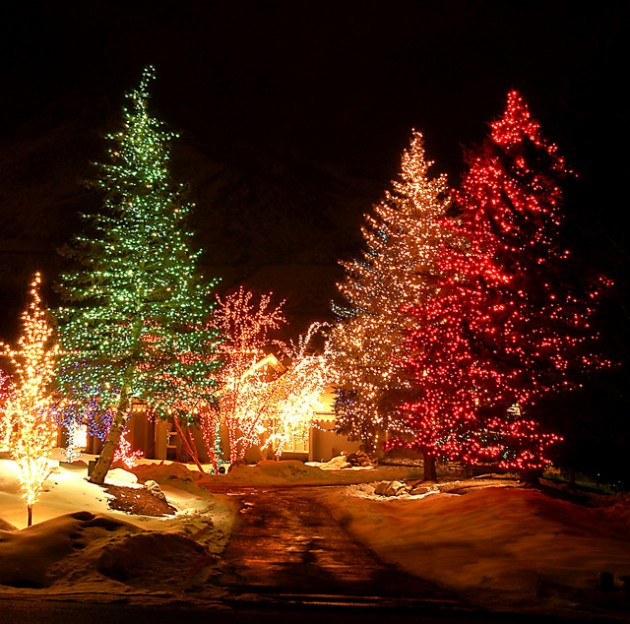 Outdoor Christmas Tree With Lights
 The Best 40 Outdoor Christmas Lighting Ideas That Will