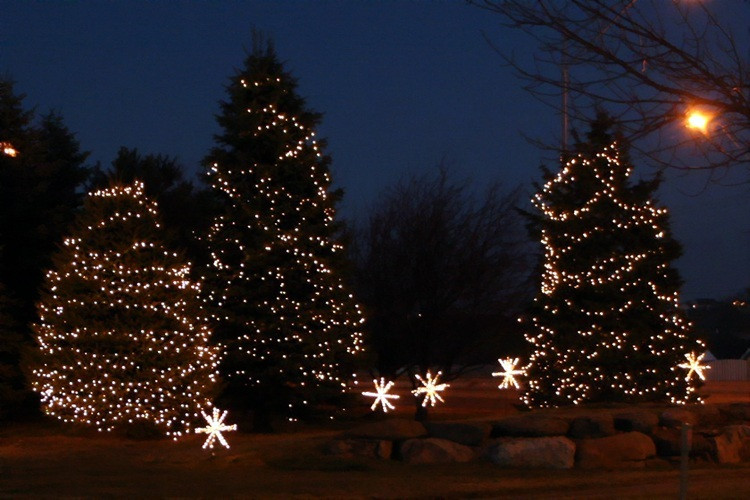 Outdoor Christmas Trees Lights
 Nashville Christmas outdoor tree lighting