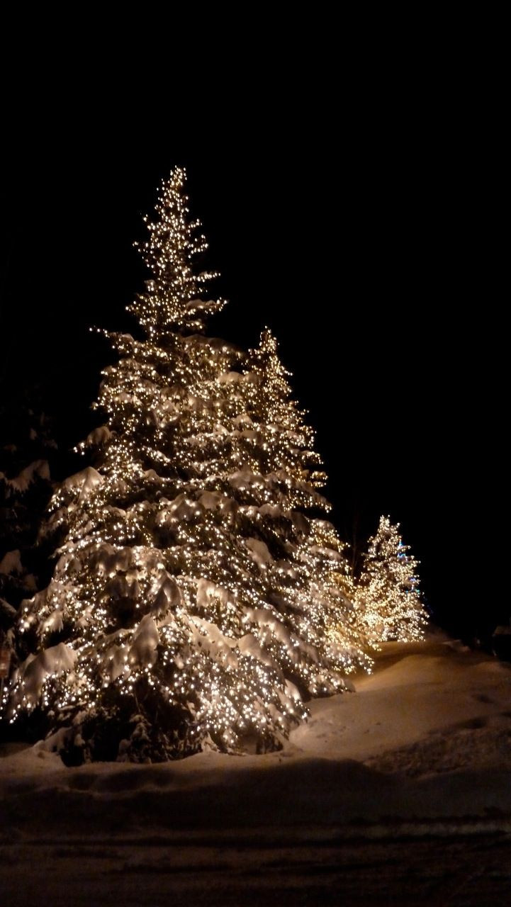 Outdoor Christmas Trees Lights
 The magic of outdoor Christmas lights in the snow Love