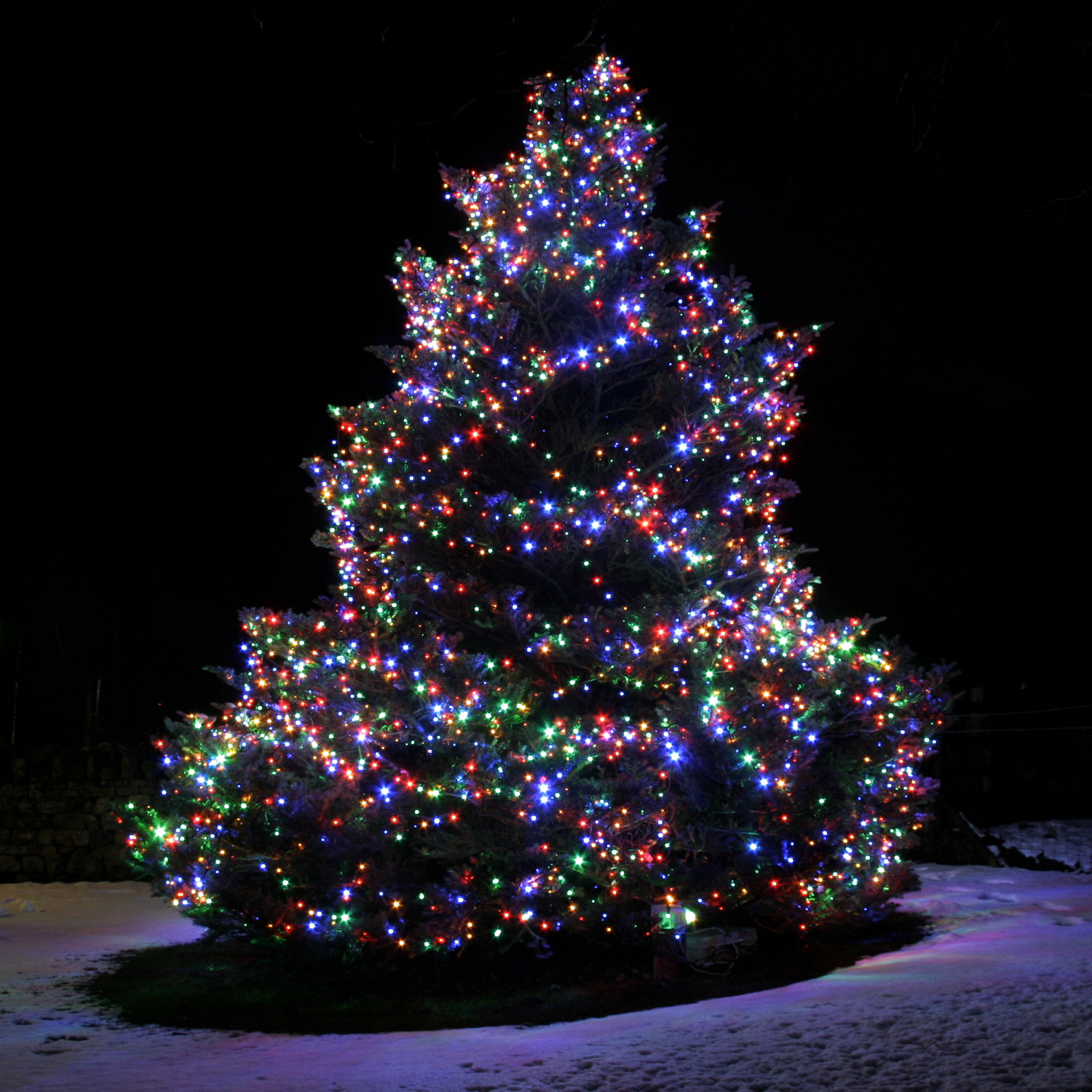 Outdoor Christmas Trees Lights
 10 things to consider before installing Christmas lights