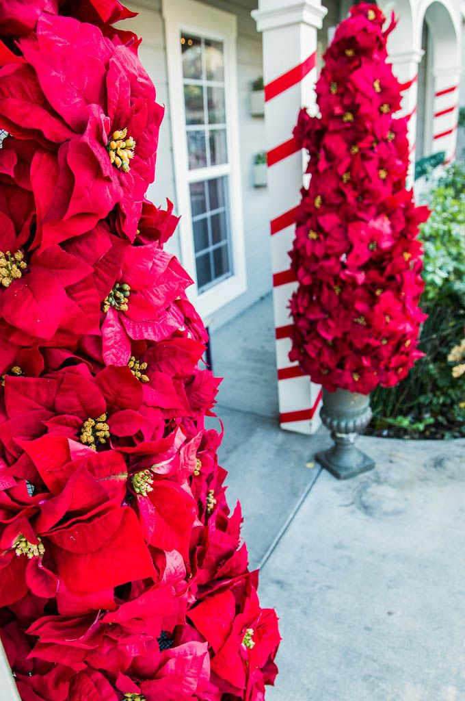 Outdoor Entryway Christmas Trees
 Make these Entryway Poinsettia Trees from kennethwingard