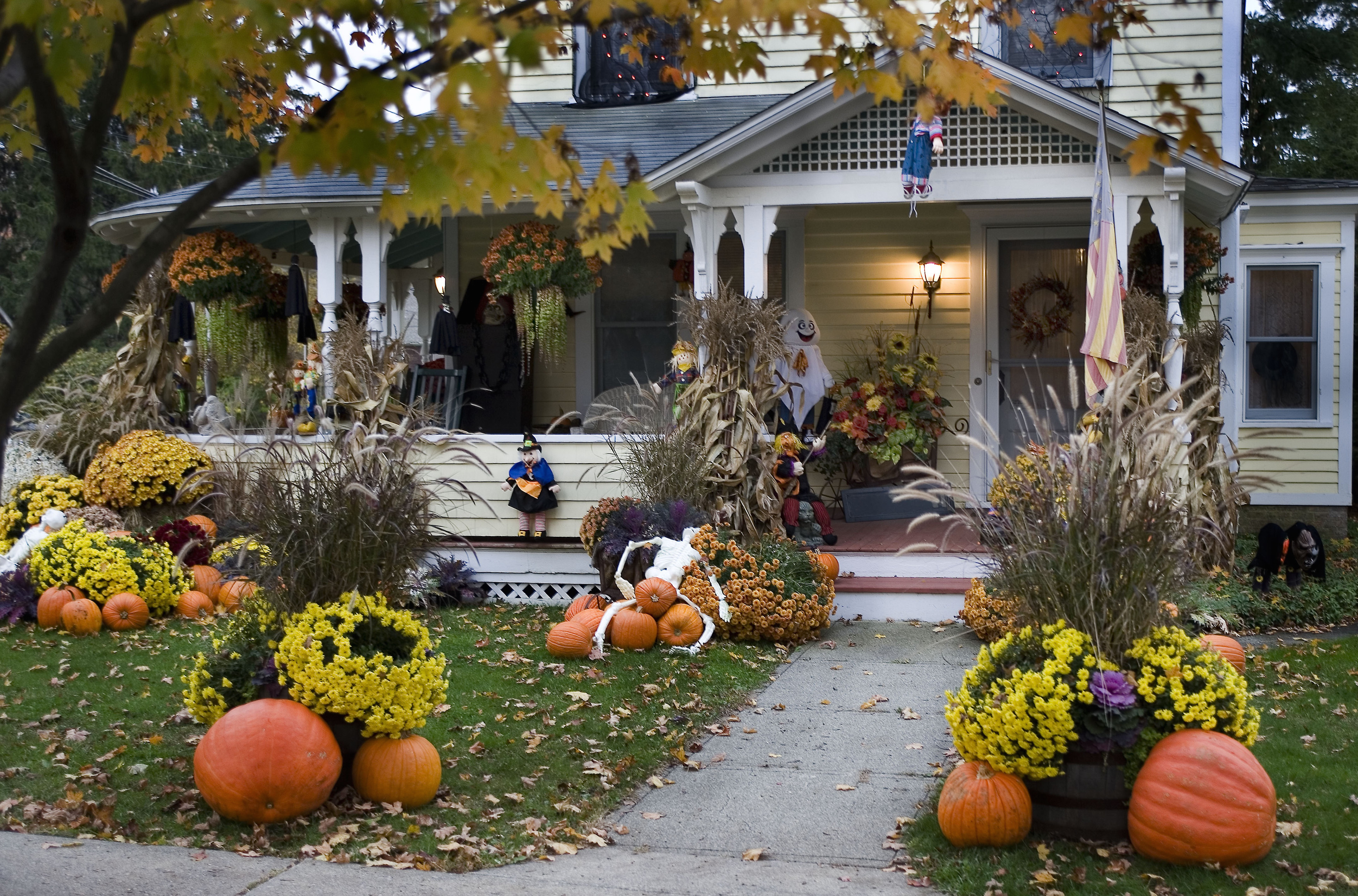 Outdoor Halloween Decoration Ideas
 10 Best Outdoor Halloween Decorations Porch Decor Ideas