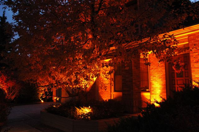 Outdoor Halloween Lights
 Celebrate Halloween or Support the Denver Broncos with
