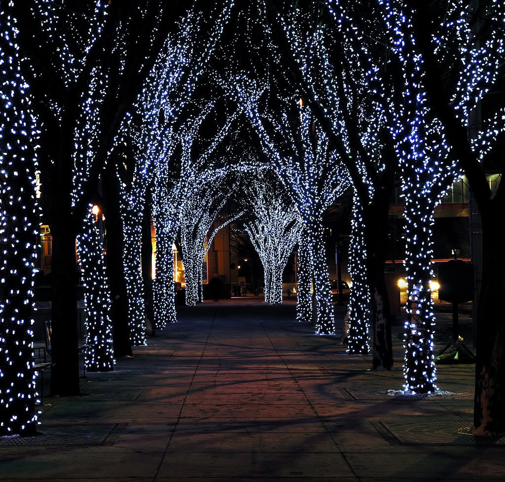 Outdoor Light Up Christmas Tree
 Christmas Lights & Merry Events 2011