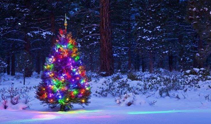 Outdoor Light Up Christmas Tree
 5 Best Outdoor Laser Lights Reviews 2019