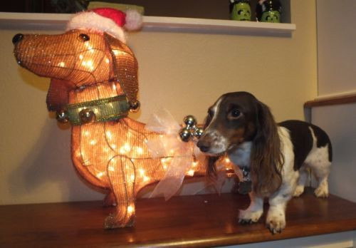 Outdoor Lighted Dog Christmas Decorations
 Lighted Dachshund Christmas Outdoor Yard Decoration