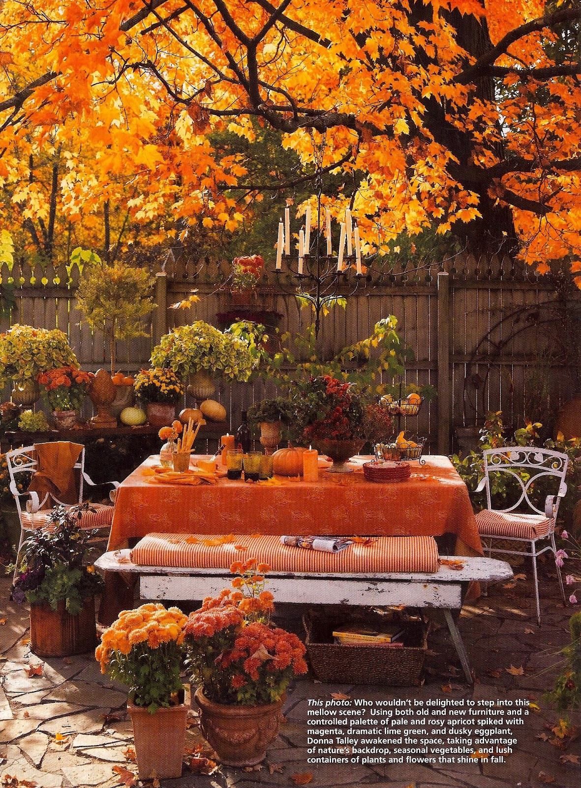 Outdoor Thanksgiving Decorations
 Outdoor Autumn theme table Thanksgiving Ideas Juxtapost