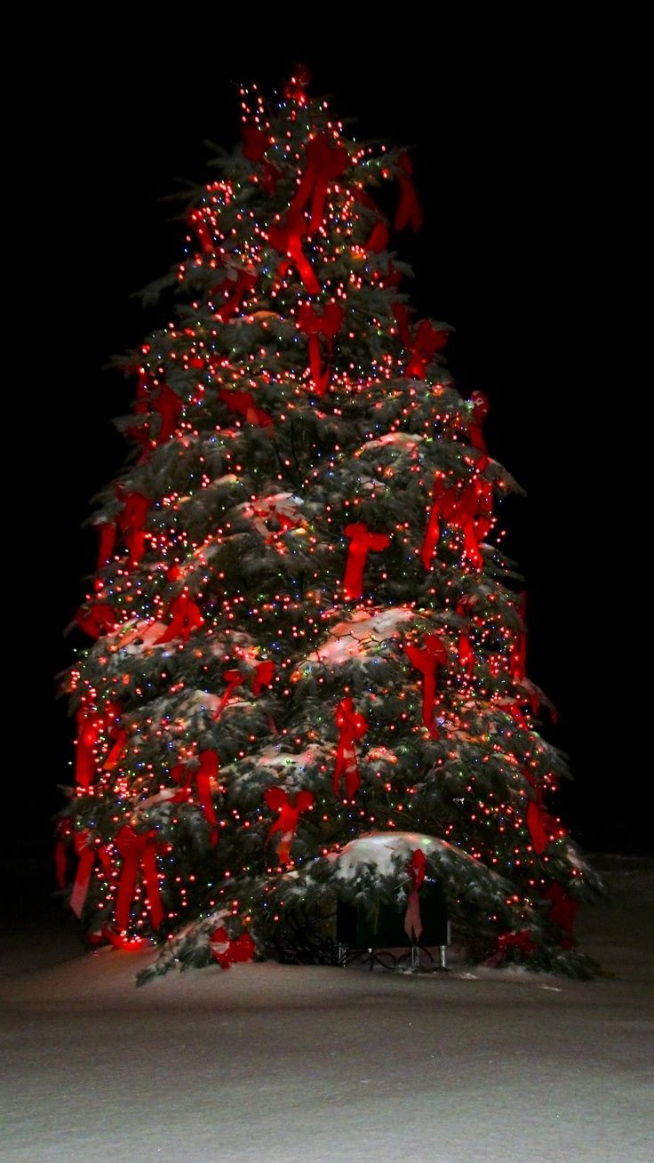 Patio Christmas Trees
 59 best Christmas trees images on Pinterest