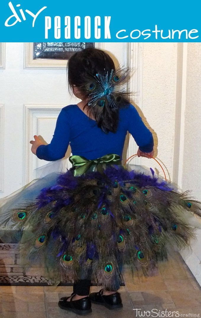 Peacock Costume DIY
 25 best ideas about Peacock costume kids on Pinterest