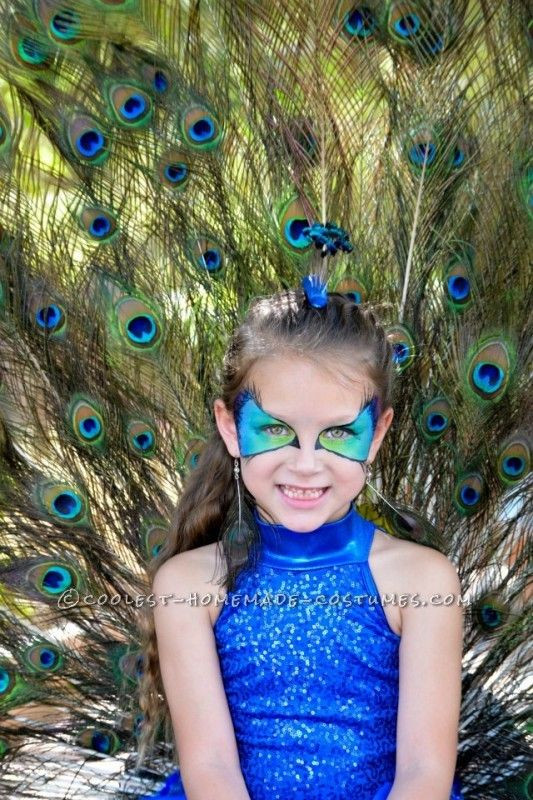 Peacock Costume DIY
 1000 ideas about Peacock Costume on Pinterest