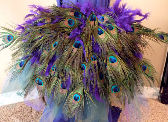 Peacock Costume DIY
 DIY Peacock Costume Two Sisters