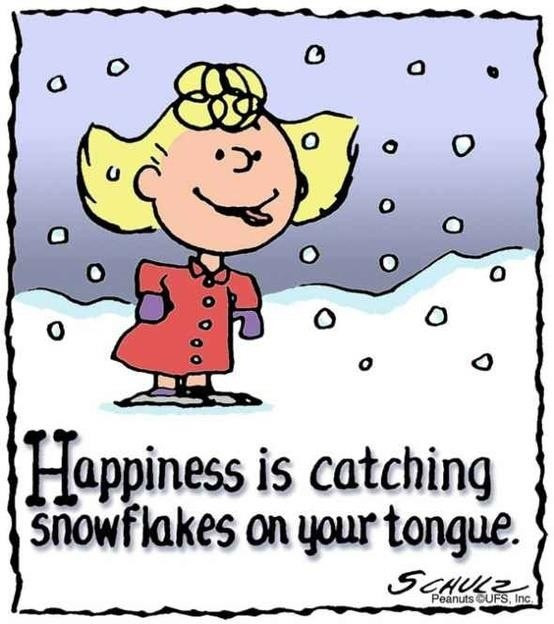 Peanuts Christmas Quotes
 Charlie Brown Charlie and Friends Lucy too