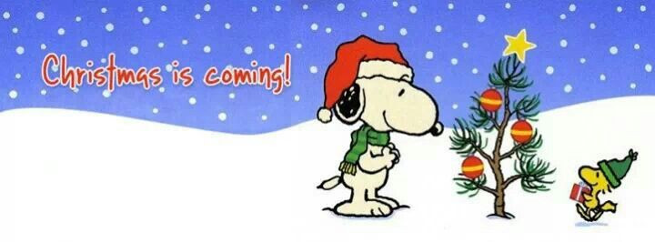 Peanuts Christmas Quotes
 Snoopy Christmas Quotes QuotesGram