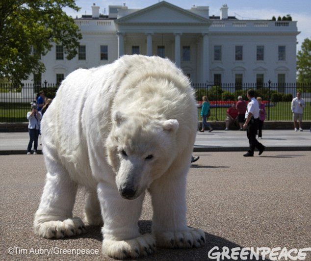 Polar Bear Costume DIY
 Paula the polar bear goes to Washington massive puppet