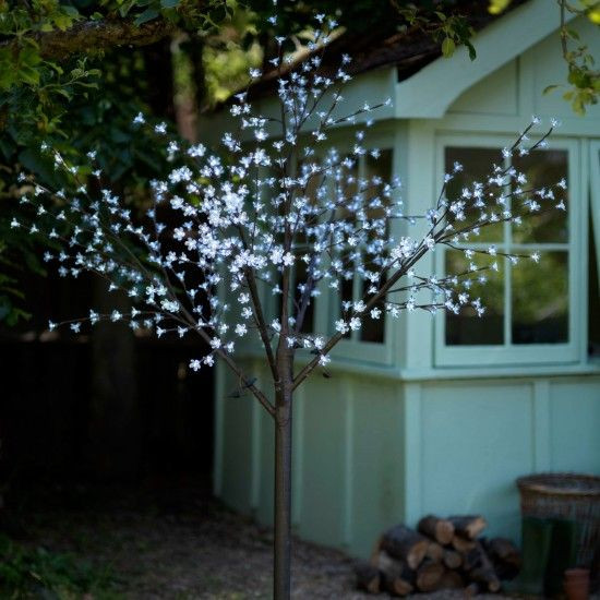 Pre Lit Outdoor Christmas Trees
 Christmas Lights Our Pick of the Best