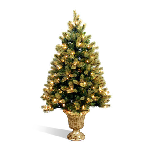 Prelit Entryway Christmas Trees
 National Tree Co Douglas Fir 4 Green Downswept Fir