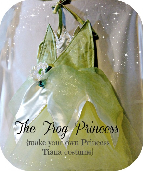 Princess Tiana Costume DIY
 20 Free Disney Princess Costume Patterns & Tutorials