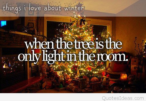 Quote About Christmas Tree
 Christmas tree quotes
