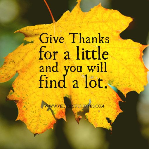 Quote About Thanksgiving
 thanksgiving quotes christian