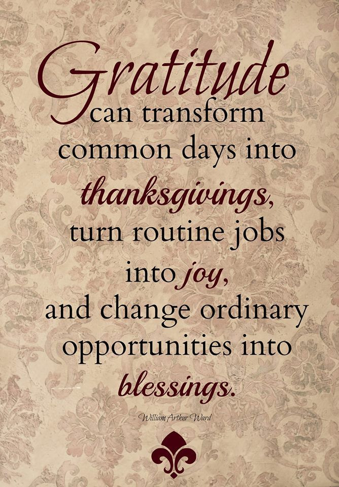 Quote On Thanksgiving
 Gratitude transforms